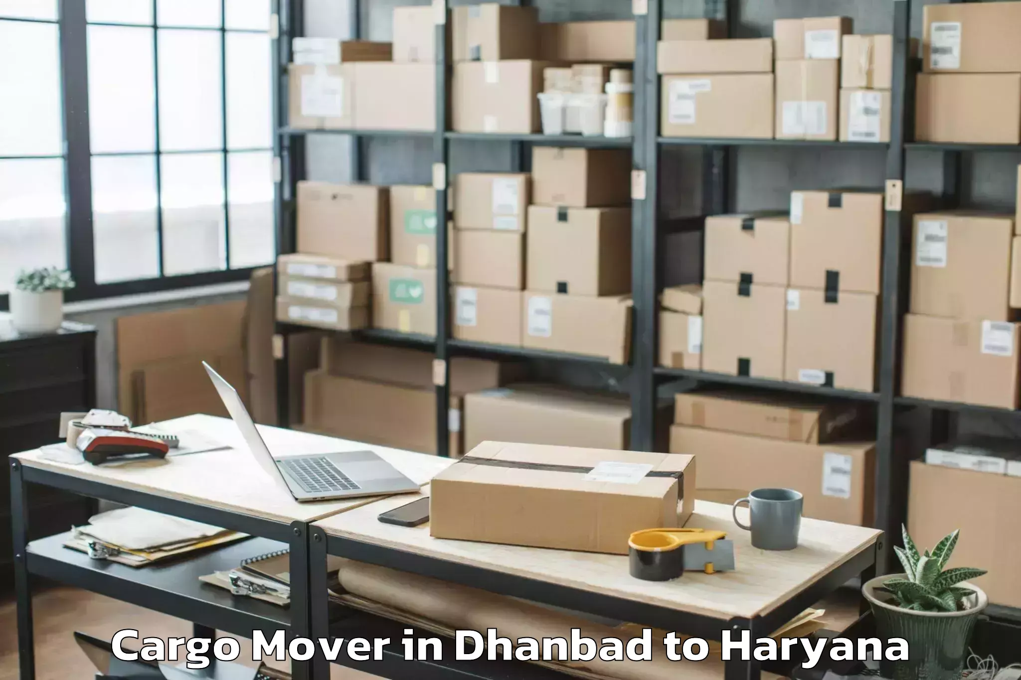 Professional Dhanbad to Manav Rachna University Farida Cargo Mover